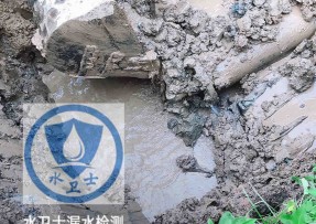 新荣区水管漏水检测公司5